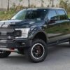 2019 Ford Shelby F-150 4x4