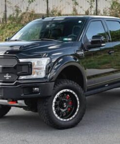 2019 Ford Shelby F-150 4x4