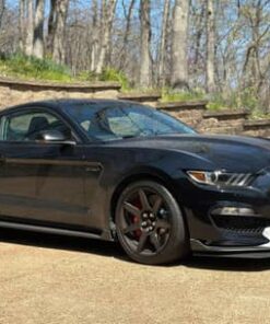 2020 Ford Mustang Shelby GT350R