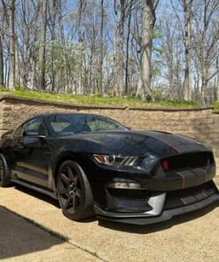 2020 Ford Mustang Shelby GT350R