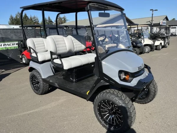 2023 E-Z-GO LIBERTY ELITE LITHIUM - Image 3