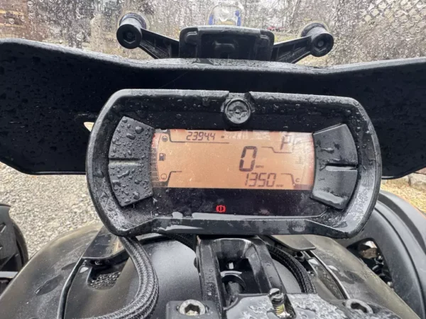 2021 Can-Am Ryker Rally - Image 4