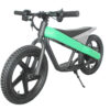 16eDrive Brushless Stability Cycle with Lithium Battery