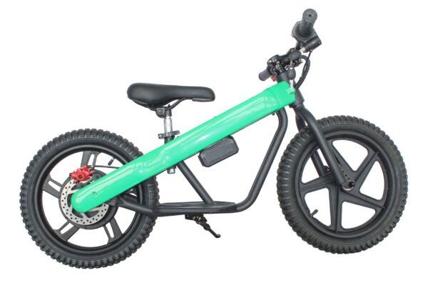16eDrive Brushless Stability Cycle with Lithium Battery - Image 6