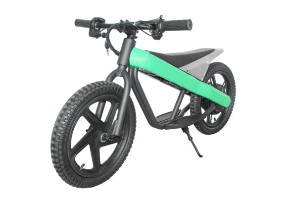 16eDrive Brushless Stability Cycle with Lithium Battery - Image 7